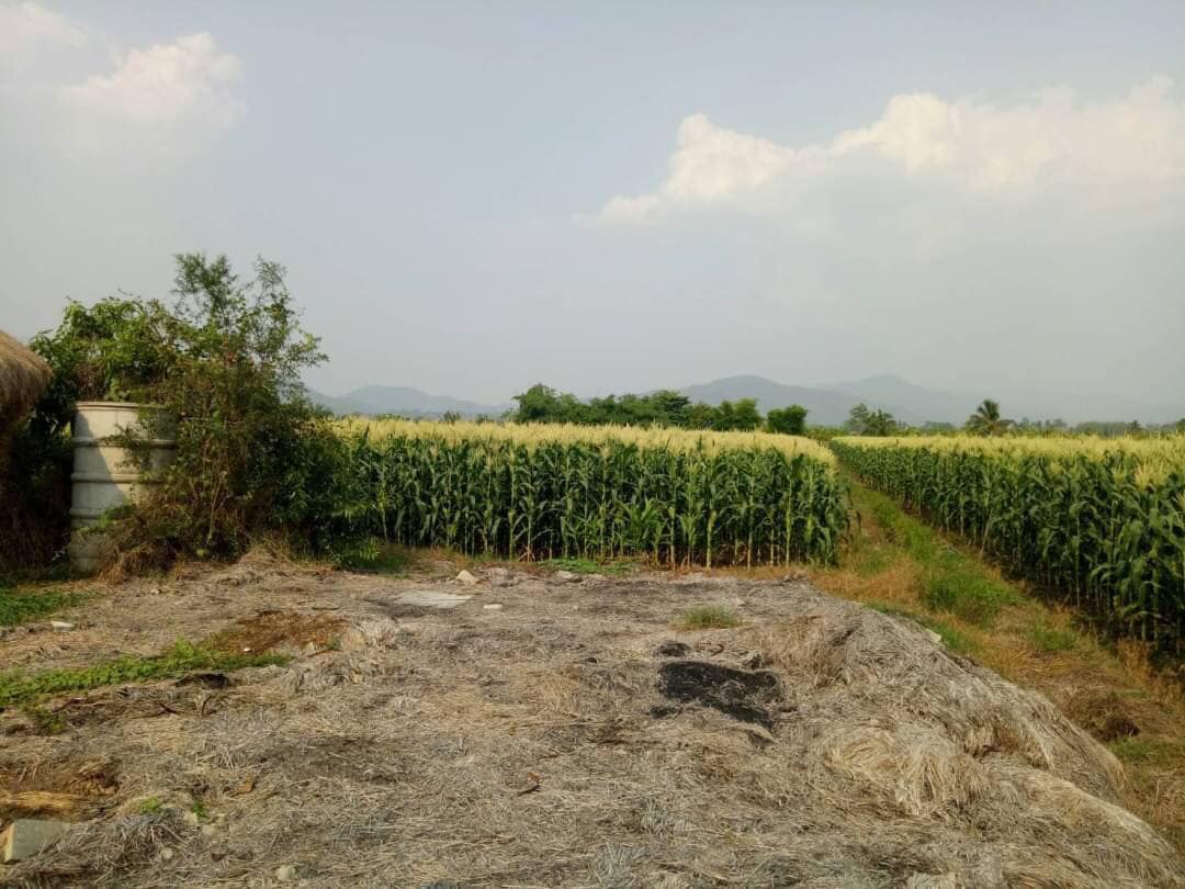 5 ทำเลทอง “ที่ดินเชียงราย” น่าจับตามองปี 2025 รับรถไฟทางคู่ เด่นชัย-เชียงราย